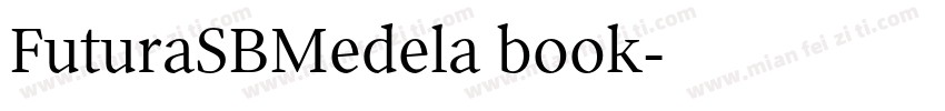 FuturaSBMedela book字体转换